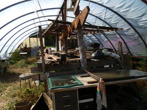 inside greenhouse